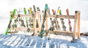 Skier | Skistöcke | Sportperle